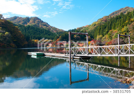 Autumn leaves of Usui Lake Autumn leaves of Usui Lake 38531705