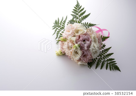 Bouquet of Turkey fennel 38532154