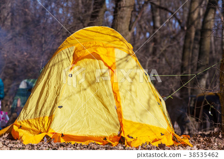 Tent in the forest Tent in the forest 38535462