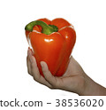 hand holding  orange 38536020