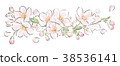 Cherry Blossoms   38536141
