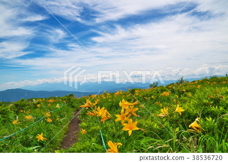 Nikkokishgege Kuroyama Plateau Nikkokishgege Kuroyama Plateau 38536720