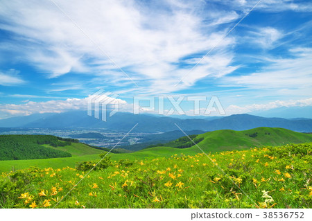 Nikkokishgege Kuroyama Plateau Nikkokishgege Kuroyama Plateau 38536752