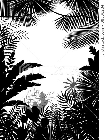 Exotic tropical background of silhouette Exotic tropical background of silhouette 38538234