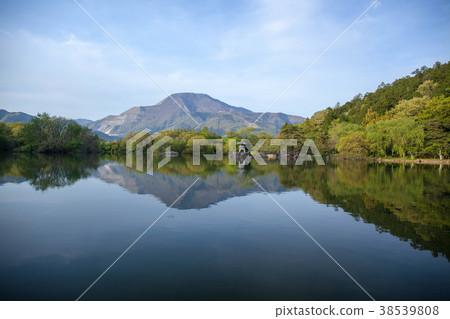 初夏的伊丘山和三島池30 38539808