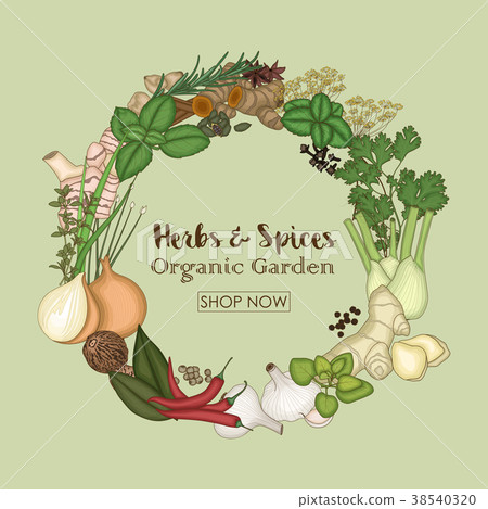 Circle wreath template with spices and herbs Circle wreath template with spices and herbs 38540320