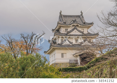 Landscape of Uwajima Castle in autumn Landscape of Uwajima Castle in autumn 38541152