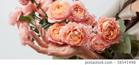 in girl hands bouquet with pink ranunculus in girl hands bouquet with pink ranunculus 38541498
