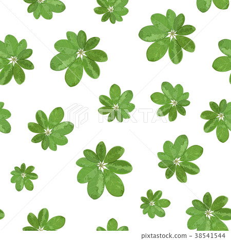 Floral seamless pattern. Background with isolated 38541544