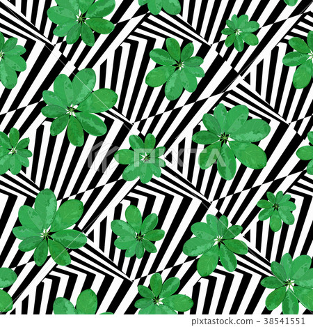 Floral seamless pattern. Background with isolated Floral seamless pattern. Background with isolated 38541551