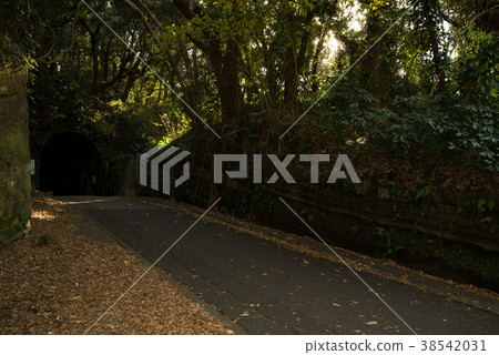 神奈川觀音崎公園北門2號電池廢墟 38542031