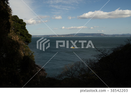 從神奈川Kannonzaki公園散步看的東京灣 38542203