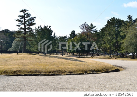 Nara Park Nara Park 38542565
