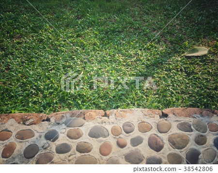 Grass field vintage style background with marble f Grass field vintage style background with marble f 38542806