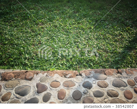 Grass field vintage style background with marble f Grass field vintage style background with marble f 38542807