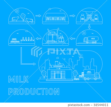Milk Production Process. Vector 38544011