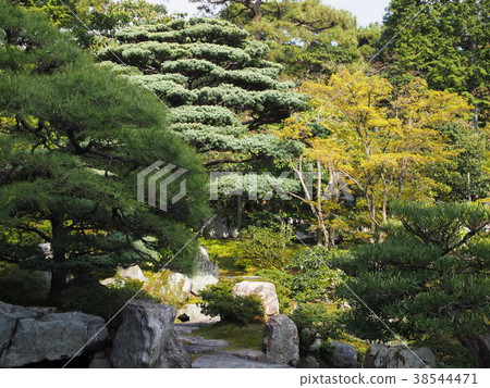 京都御所 京都御所 38544471