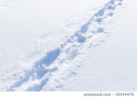 Footprints in snowdrift, natural winter photo 38544478