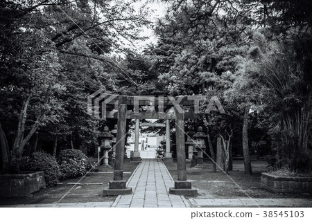 Old Concrete Torii gate of Shinagawa Jinja Shrine Old Concrete Torii gate of Shinagawa Jinja Shrine 38545103