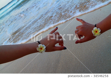 夏威夷/阿羅哈姿勢 夏威夷/阿羅哈姿勢 38546258
