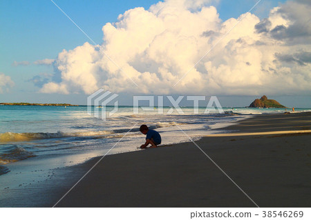 夏威夷/拉尼凱海灘 夏威夷/拉尼凱海灘 38546269