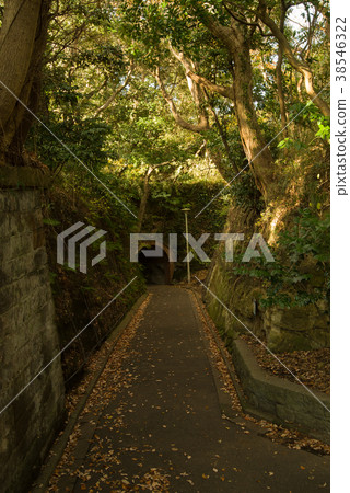 Tunnel of the 3rd battery ruins of Kanagawa Kannonzaki Park Tunnel of the 3rd battery ruins of Kanagawa Kannonzaki Park 38546322