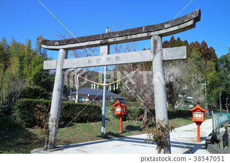 Su訪神社(鹿兒島縣薩摩川縣長崎町) Su訪神社(鹿兒島縣薩摩川縣長崎町) 38547051