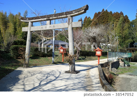 Suwa-jinja Shrine (Nagosato-cho, Satsuma-gawa, Kagoshima Prefecture) Suwa-jinja Shrine (Nagosato-cho, Satsuma-gawa, Kagoshima Prefecture) 38547052