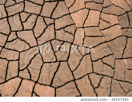 The surface of the brick pavement. 38547491