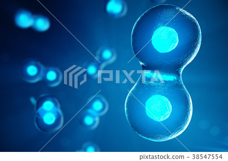 3D illustration Early stage embryo. Morula is an 38547554