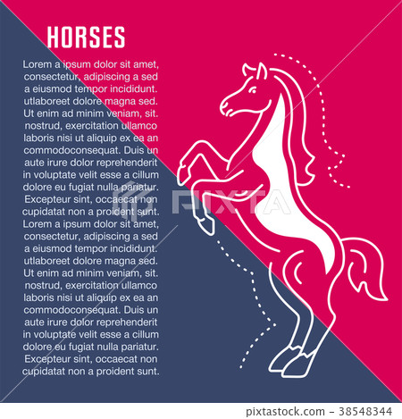 Website Banner and Landing Page of Horses. Website Banner and Landing Page of Horses. 38548344