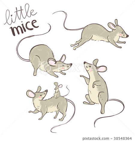 Little nice mice. Set of cute characters. 38548364