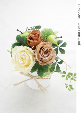 Preserved flower White vase 38548785