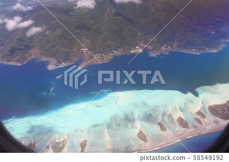 珊瑚礁大溪地南太平洋 38549192