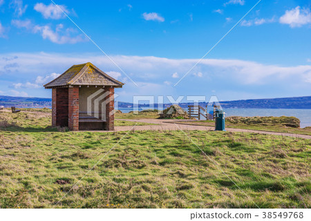 Hillside view of Barton on Sea 38549768