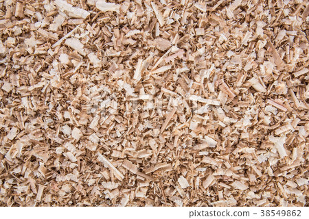 Wooden shavings of oak and pine, background Wooden shavings of oak and pine, background 38549862