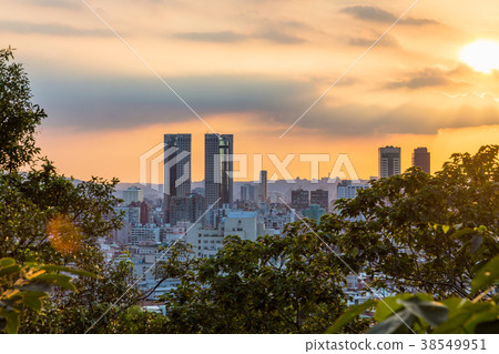 View of Taipei during sunset View of Taipei during sunset 38549951