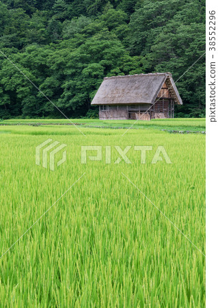 Gifu _ Inamu Shirakawago 38552296