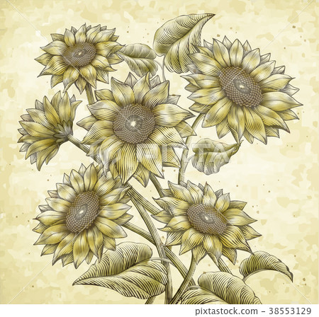 Retro Sunflower elements Retro Sunflower elements 38553129