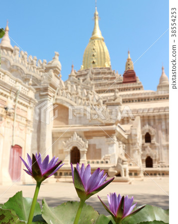 Anandah temple and lotus flower. 2018/2/19 Anandah temple and lotus flower. 2018/2/19 38554253