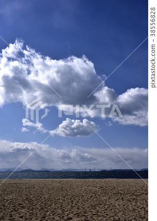 澀川海岸 - 冬季場景 -  38556828