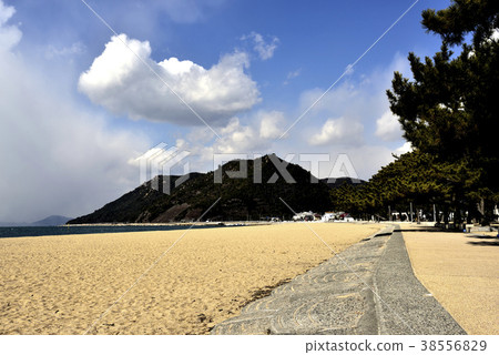 澀川海岸 - 冬季場景 -  38556829