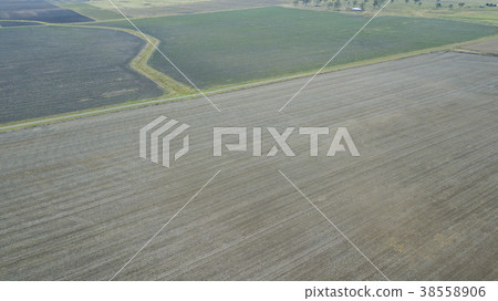 Country agricultural and farming field. Country agricultural and farming field. 38558906