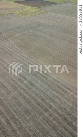 Country agricultural and farming field. Country agricultural and farming field. 38558911