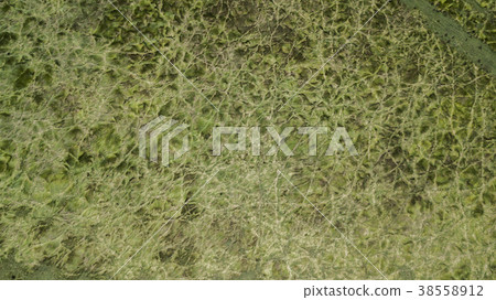 Country agricultural and farming field. Country agricultural and farming field. 38558912