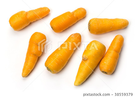 Kimi ginseng 38559379