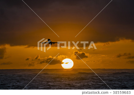 Aircraft flying over amazing tropical ocean at 38559683