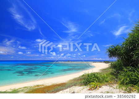 Amami Oshima "Tomori Coast" Amami Oshima "Tomori Coast" 38560292