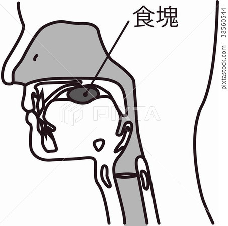 醫療燕子燕子食物燕子圖1例證 38560544