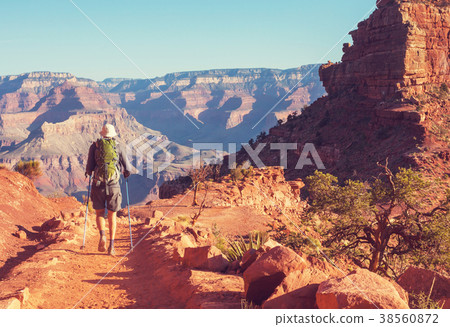 Hike in Grand Canyon 38560872